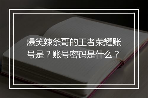 爆笑辣条哥的王者荣耀账号是？账号密码是什么？