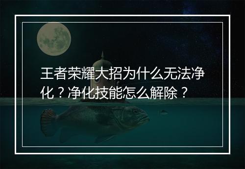 王者荣耀大招为什么无法净化？净化技能怎么解除？