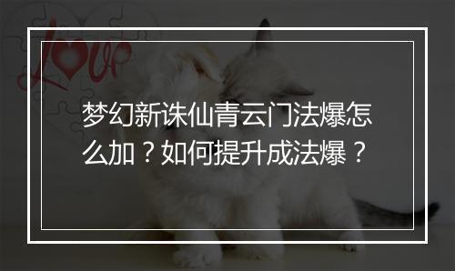 梦幻新诛仙青云门法爆怎么加？如何提升成法爆？