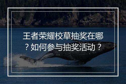 王者荣耀校草抽奖在哪?如何参与抽奖活动?