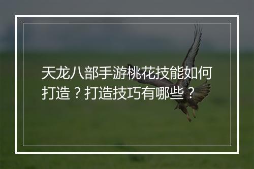 天龙八部手游桃花技能如何打造？打造技巧有哪些？