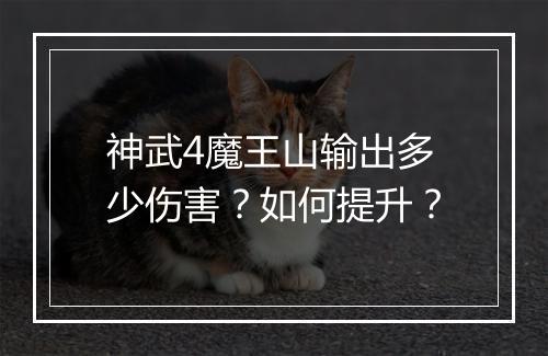 神武4魔王山输出多少伤害？如何提升？