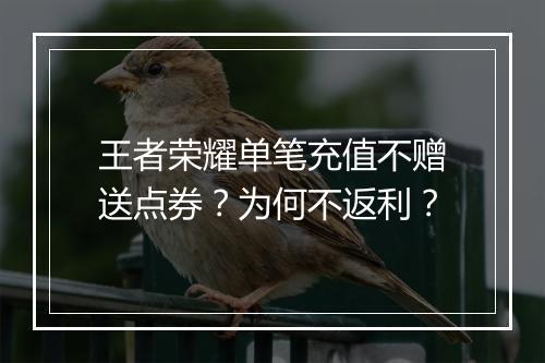 王者荣耀单笔充值不赠送点券？为何不返利？
