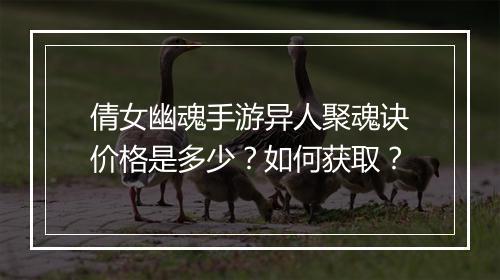 倩女幽魂手游异人聚魂诀价格是多少？如何获取？