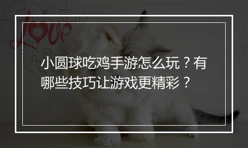 小圆球吃鸡手游怎么玩？有哪些技巧让游戏更精彩？