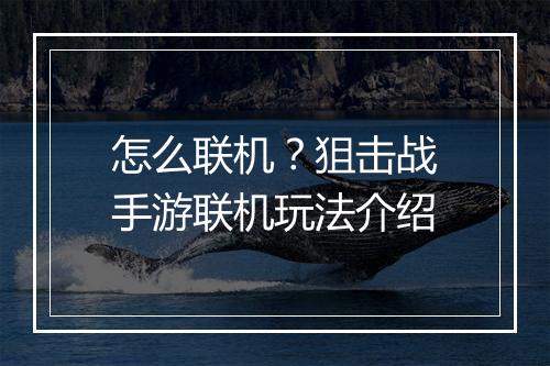 怎么联机?狙击战手游联机玩法介绍