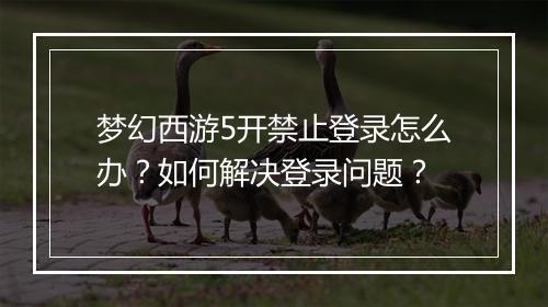 梦幻西游5开禁止登录怎么办？如何解决登录问题？