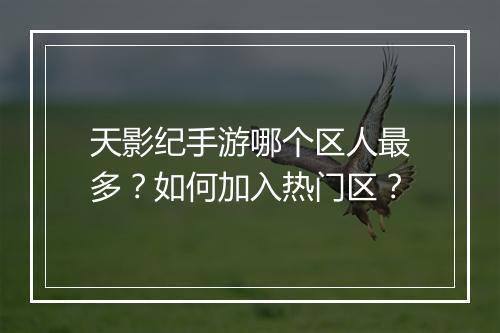 天影纪手游哪个区人最多？如何加入热门区？