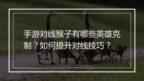 手游对线猴子有哪些英雄克制？如何提升对线技巧？