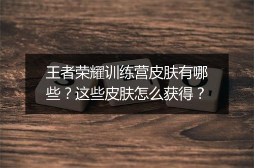王者荣耀训练营皮肤有哪些？这些皮肤怎么获得？