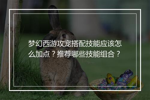梦幻西游攻宠搭配技能应该怎么加点?推荐哪些技能组合?