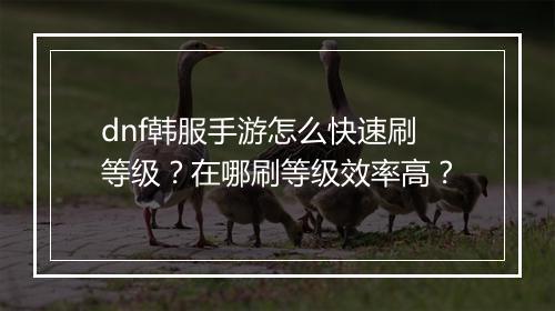 dnf韩服手游怎么快速刷等级？在哪刷等级效率高？
