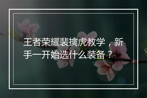 王者荣耀裴擒虎教学，新手一开始选什么装备？