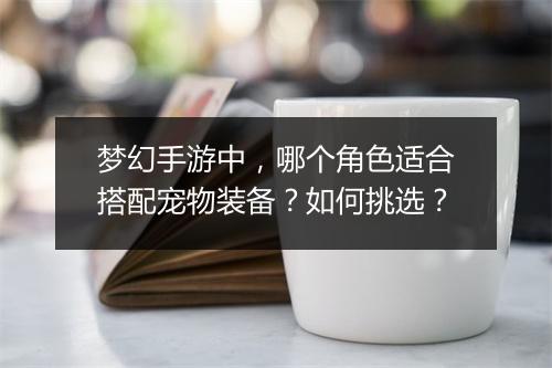 梦幻手游中，哪个角色适合搭配宠物装备？如何挑选？