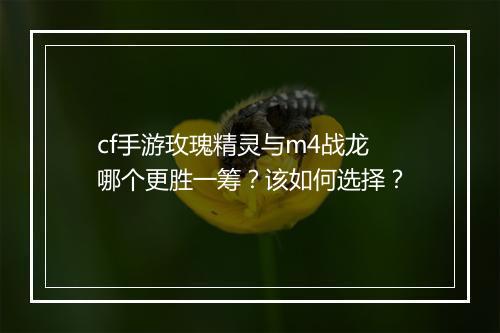 cf手游玫瑰精灵与m4战龙哪个更胜一筹?该如何选择?