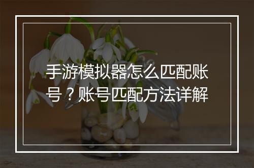 手游模拟器怎么匹配账号？账号匹配方法详解