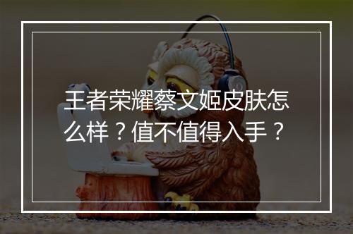 王者荣耀蔡文姬皮肤怎么样？值不值得入手？