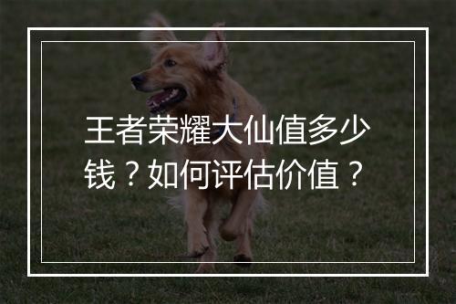 王者荣耀大仙值多少钱？如何评估价值？