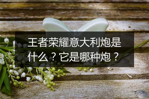 王者荣耀意大利炮是什么？它是哪种炮？