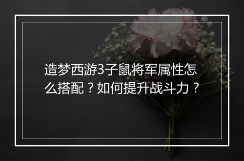 造梦西游3子鼠将军属性怎么搭配？如何提升战斗力？