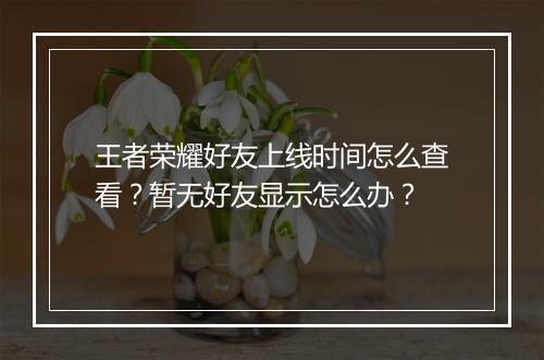 王者荣耀好友上线时间怎么查看?暂无好友显示怎么办?