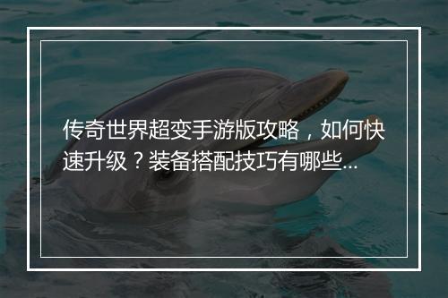 传奇世界超变手游版攻略，如何快速升级？装备搭配技巧有哪些？