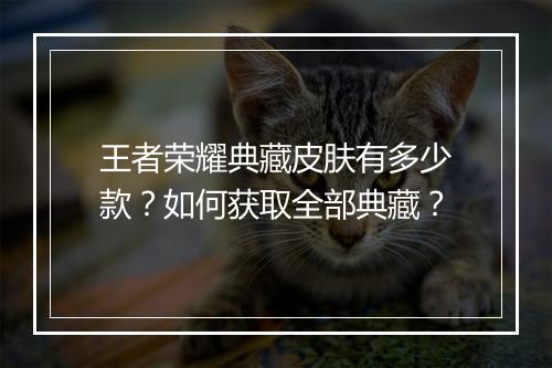 王者荣耀典藏皮肤有多少款？如何获取全部典藏？