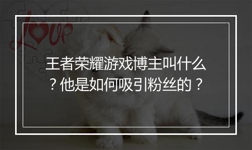 王者荣耀游戏博主叫什么？他是如何吸引粉丝的？