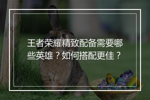 王者荣耀精致配备需要哪些英雄？如何搭配更佳？