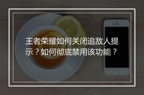 王者荣耀如何关闭追敌人提示？如何彻底禁用该功能？