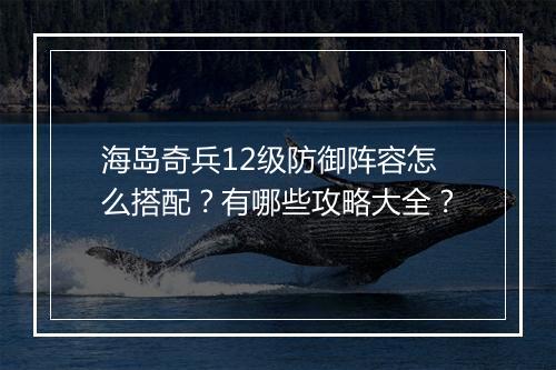 海岛奇兵12级防御阵容怎么搭配？有哪些攻略大全？