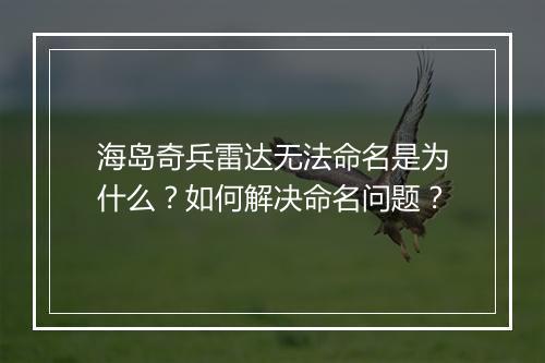 海岛奇兵雷达无法命名是为什么？如何解决命名问题？
