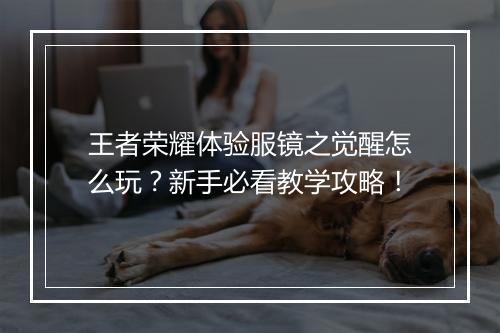 王者荣耀体验服镜之觉醒怎么玩？新手必看教学攻略！