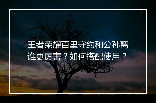 王者荣耀百里守约和公孙离谁更厉害？如何搭配使用？