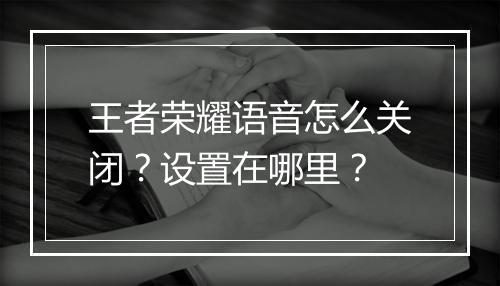 王者荣耀语音怎么关闭？设置在哪里？