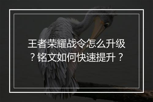 王者荣耀战令怎么升级?铭文如何快速提升?