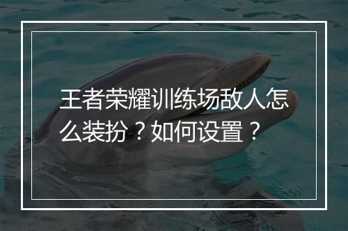 王者荣耀训练场敌人怎么装扮?如何设置?