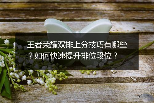 王者荣耀双排上分技巧有哪些？如何快速提升排位段位？