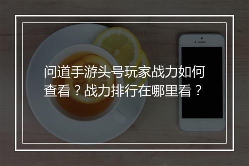 问道手游头号玩家战力如何查看？战力排行在哪里看？