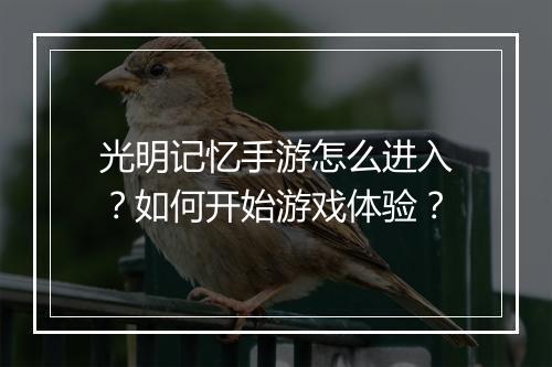 光明记忆手游怎么进入？如何开始游戏体验？