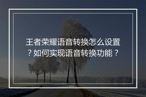 王者荣耀语音转换怎么设置?如何实现语音转换功能?
