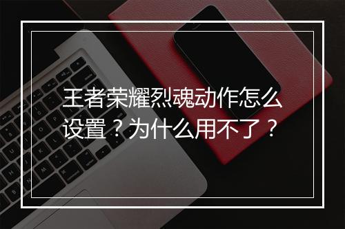 王者荣耀烈魂动作怎么设置？为什么用不了？