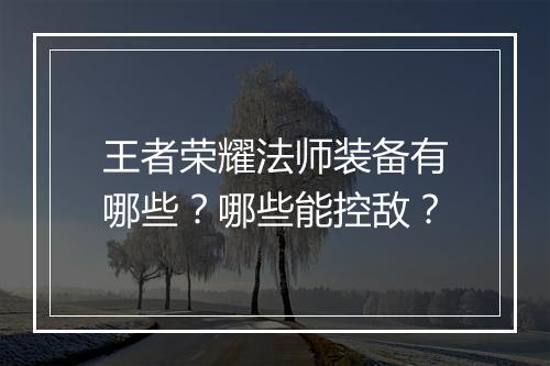 王者荣耀法师装备有哪些?哪些能控敌?