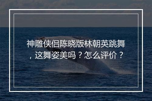 神雕侠侣陈晓版林朝英跳舞，这舞姿美吗？怎么评价？