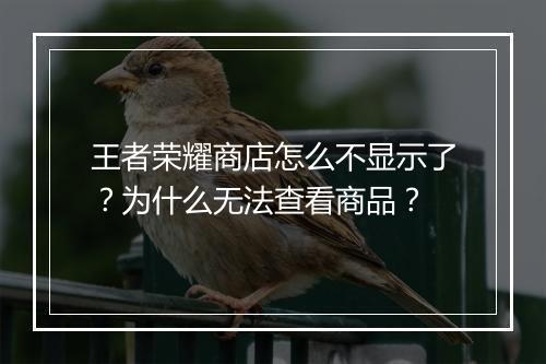 王者荣耀商店怎么不显示了？为什么无法查看商品？