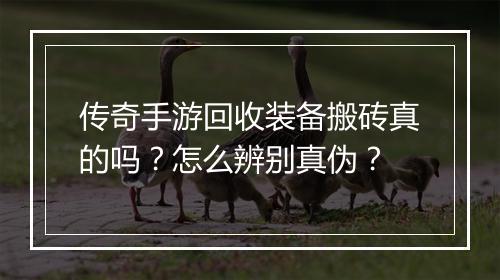 传奇手游回收装备搬砖真的吗?怎么辨别真伪?