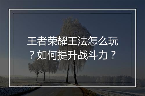 王者荣耀王法怎么玩?如何提升战斗力?