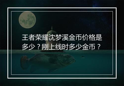 王者荣耀沈梦溪金币价格是多少?刚上线时多少金币?