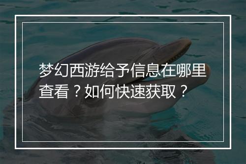 梦幻西游给予信息在哪里查看?如何快速获取?