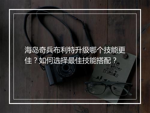 海岛奇兵布利特升级哪个技能更佳？如何选择最佳技能搭配？